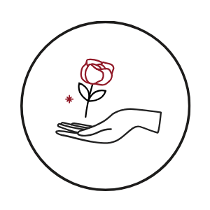 Главная