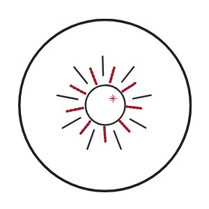 Главная